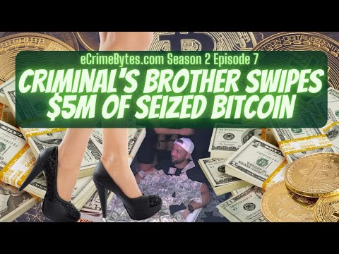 Criminal’s Brother Swipes $5m Bitcoin Back From Darknet Seizure - Act 3: Gary Is Caught