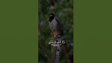 سورة النحل وَاصْبِرْ وَمَا صَبْرُكَ إِلَّا بِاللَّهِ وَلَا تَحْزَنْ عَلَيْهِمْ وَلَا تَكُ فِي ضَيْقٍ