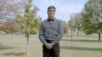 Unit 1: Tree Anatomy