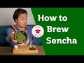 HOW TO BREW SENCHA GREEN TEA Masterclass HOW TO BREW SENCHA GREEN TEA Masterclass