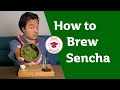 HOW TO BREW SENCHA GREEN TEA - Masterclass