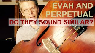 Do Pirastros Evah Pirazzi And Perpetual Bass Strings Sound Similar?