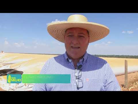 Déficit de armazenagem volta a ameaçar rentabilidade dos produtores de milho de MT