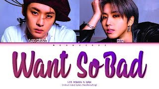 WANT SO BAD full song, minsung (han and lee know) english lyrics, , Minsung