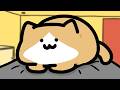 【子猫】朝起こしテロ