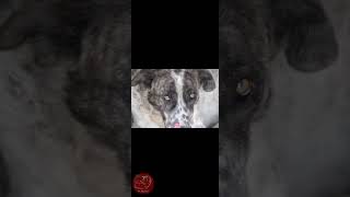 Небольшая музыкальная пауза