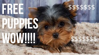 How to get FREE PUPPIES!!!