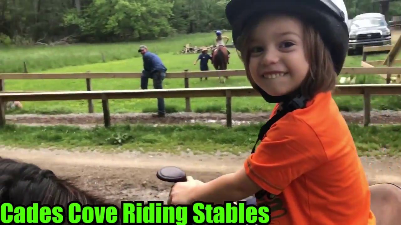 Cades Cove Riding Stables Amazing Horse Back Riding For Kids 3+ Smoky
