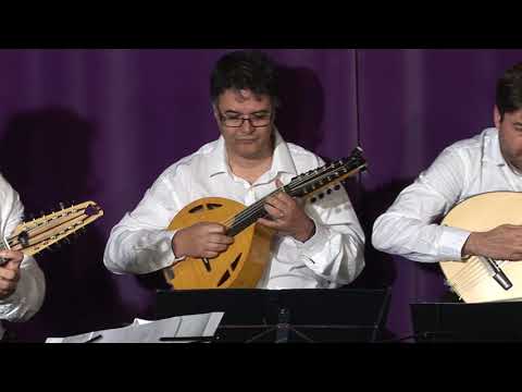 MELOGUITARS Barkeno 2019