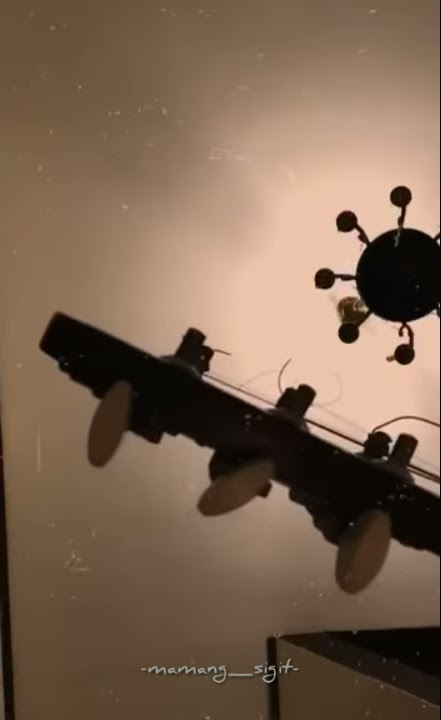 story wa,Anie carera (cover mang sigit)