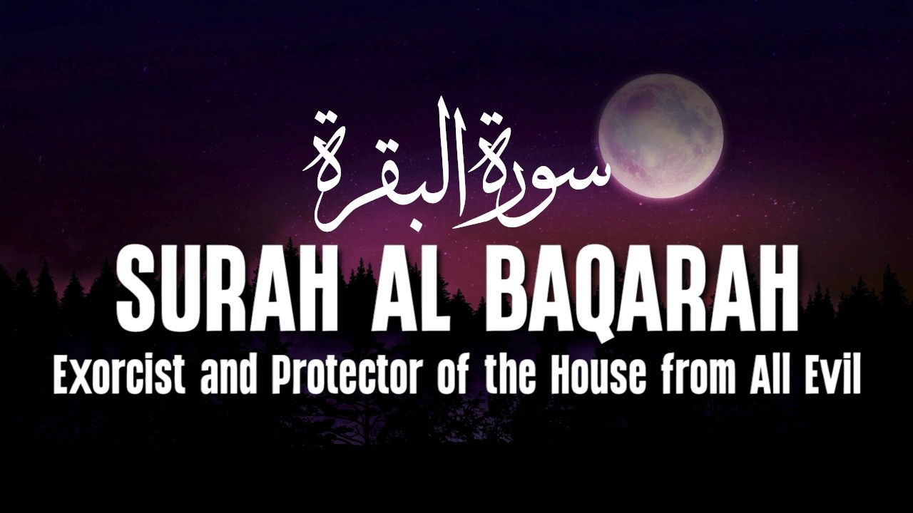 Surah Al Baqarah سورة البقرة With a Beautiful Voice Makes the Heart Calm | Ismail Al Qadi