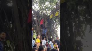 Bangladesh’s Crazy Brazil Fans at TSC #worldcup2026 #brazil #football #shortsfeed #tsc