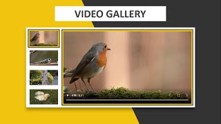 How To Make Video Gallery Using HTML CSS \& JQUERY || Step By Step