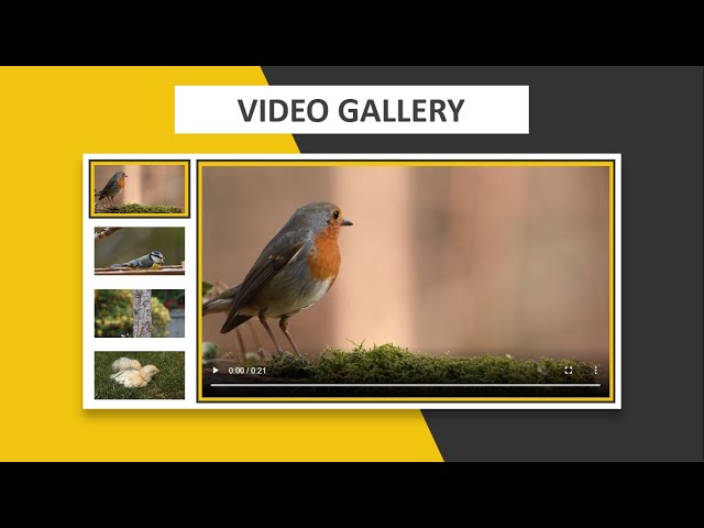 How To Make Video Gallery Using HTML CSS & JQUERY || Step By Step class=