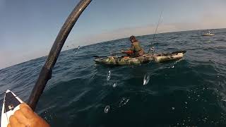 Exmouth Kayak Fishing Giant Trevally.