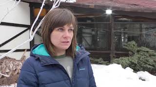 Щенки редкой породы насмерть замерзли под Харьковом - 05.02.2019 Щенки редкой породы насмерть замерзли под Харьковом - 05.02.2019
