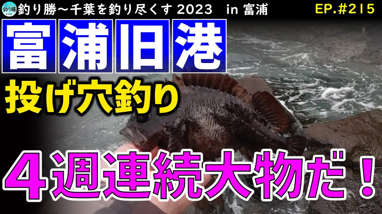 富浦公園 釣り
