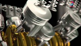 Total Oil Rubia TVC