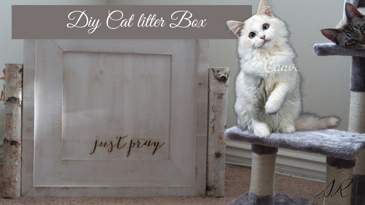 DIYHIDDEN CAT LITTER BOX YouTube