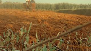 STORY WA tukang bajak sawah☺