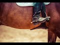 Scars To Your Beautiful~Equestrian Music Video (Female Rider Edit)