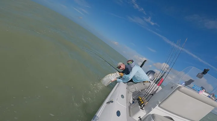 October Tarpon for Randy - Fall Mullet run is on i...