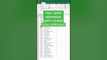Menandai Data Ganda atau Duplikat di Excel dengan Cepat