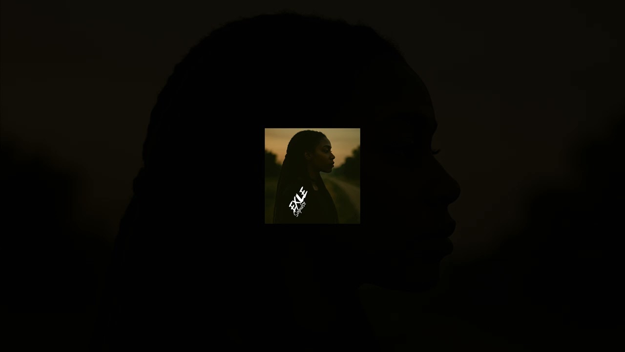 Anon: EXILE (Cover) ~ Solpulse