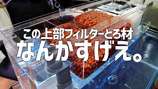Includes Upper Filters Biological Adsorption And Chemical Filter Media 297 Aquarium Youtube Includes Upper Filters Biological Adsorption And Chemical Filter Media 297 Aquarium Youtube