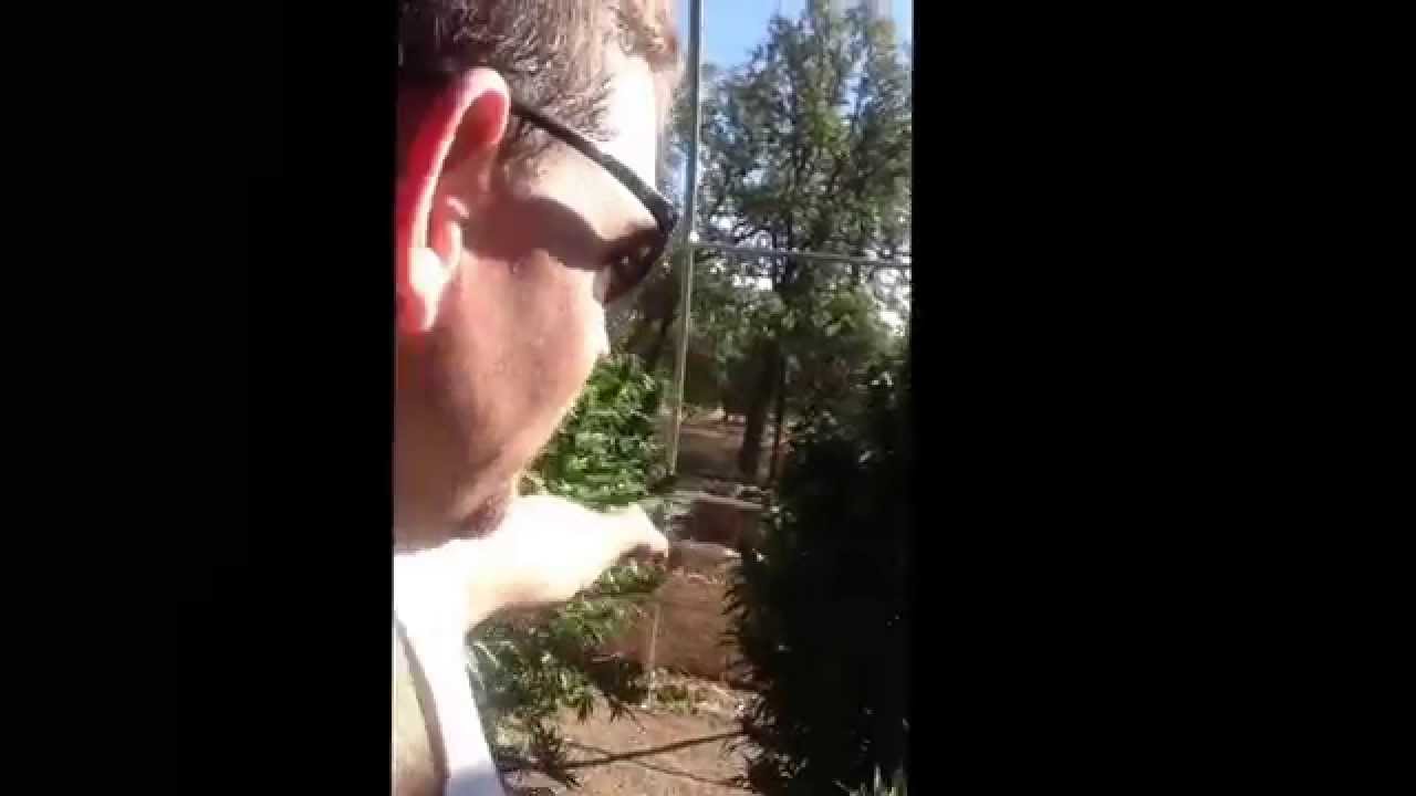 NorCal Pot Farm Trip