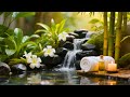 Relaxing Water & Soft Piano Harmony | Calming Sleep, Stress Relief, Yoga & Healing Music