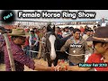 Part-2 Female Horse🏇 Ring Show Competition - Pushkar fair 2018|पुष्कर मेला