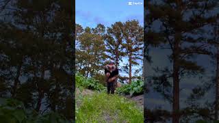 Some Quads From A Week Ago