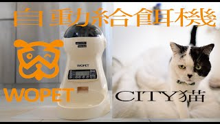 【amazon猫用自動給餌器】おしゃれ猫うしまるの超絶愛用品紹介②自動給餌器