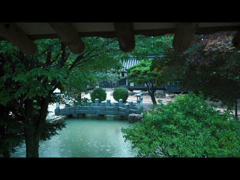 [Rain Sounds] 한옥이 아름다운것은 빗소리마져 아름답게 만들기 때문이다. 처마밑에서 듣는 차분한 빗소리