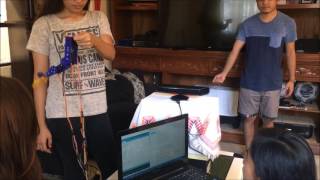 Gesture Controlled Robotic Arm Interface