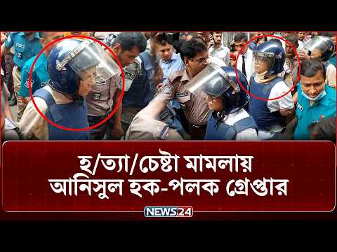 হ/ত্যা/চেষ্টা মা'ম'লা'য় আনিসুল হক-পলক গ্রে'প্তা'র | Anisul Huq | Palak | NEWS24