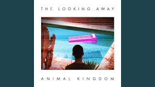 Vignette de la vidéo "Animal Kingdom - Everything at Once"