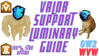 WvW Support Valor Luminary Guide | 100% Stab uptime build