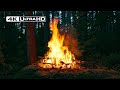 نار المخيم بدقة 4K في غابة مظلمة أصوات الطبيعة الهادئة بدون ذكاء اصطناعي 