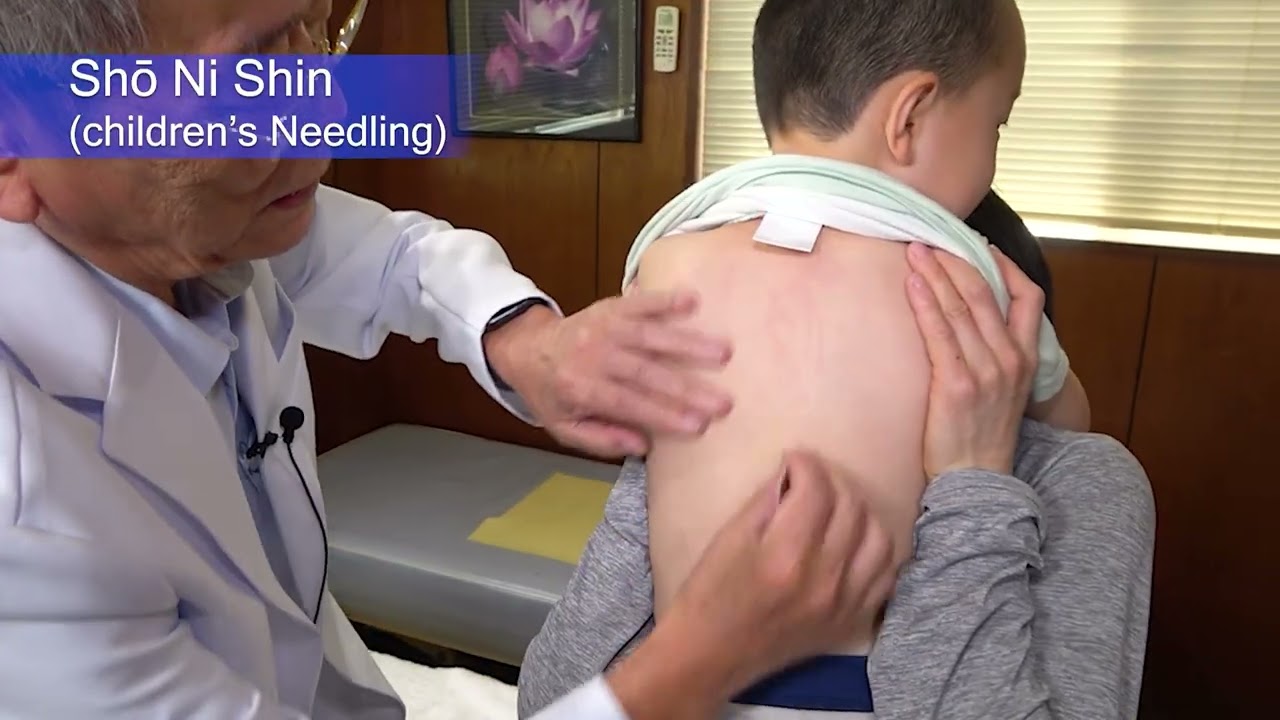 (Single Volume Edition) Traditional Japanese Medicine -Diagnosis and Treatment-