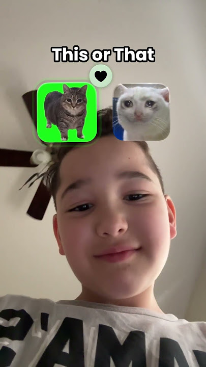 Meme cats vs meme catsππππ