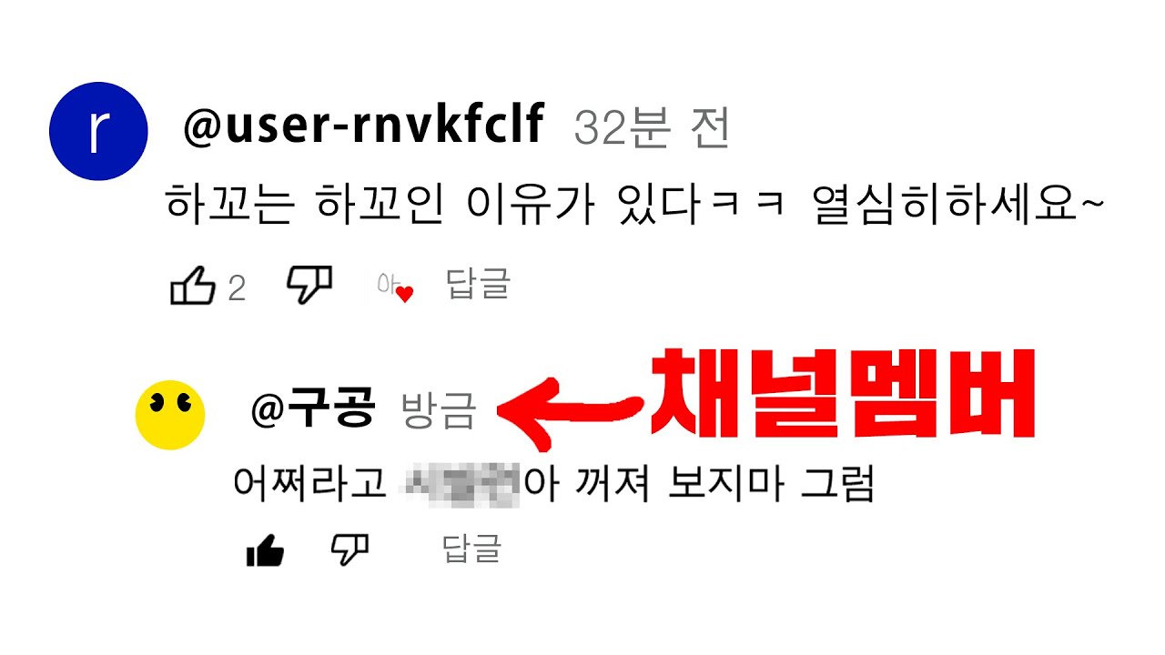 시청자랑 키배뜨는 유튜버, 팬들 충격