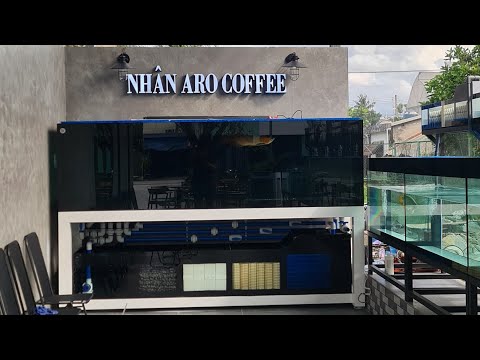 Video Hoàn Thiện Bộ Hồ Công Nghệ Mới cho quán Nhân Aro... - youtube