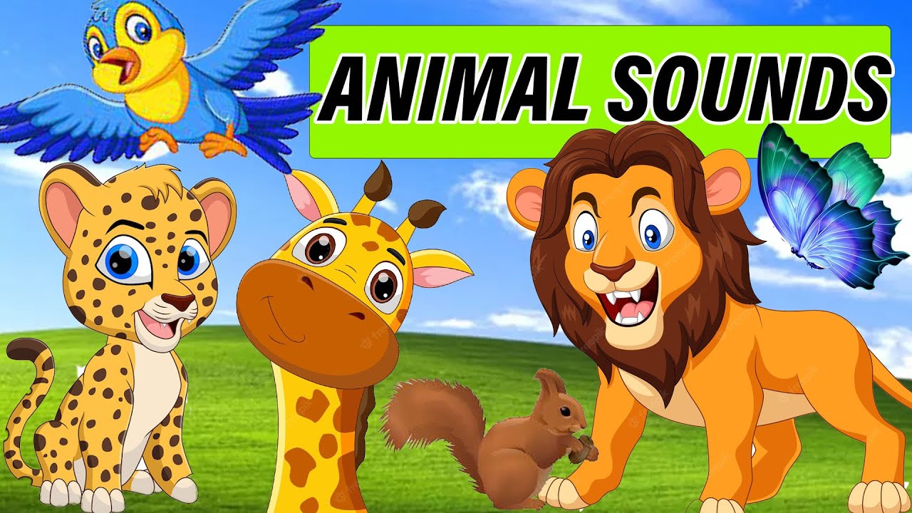 ANIMAL SOUNDS WHAT ANIMAL MAKES A WHISTLING SOUNDS YouTube