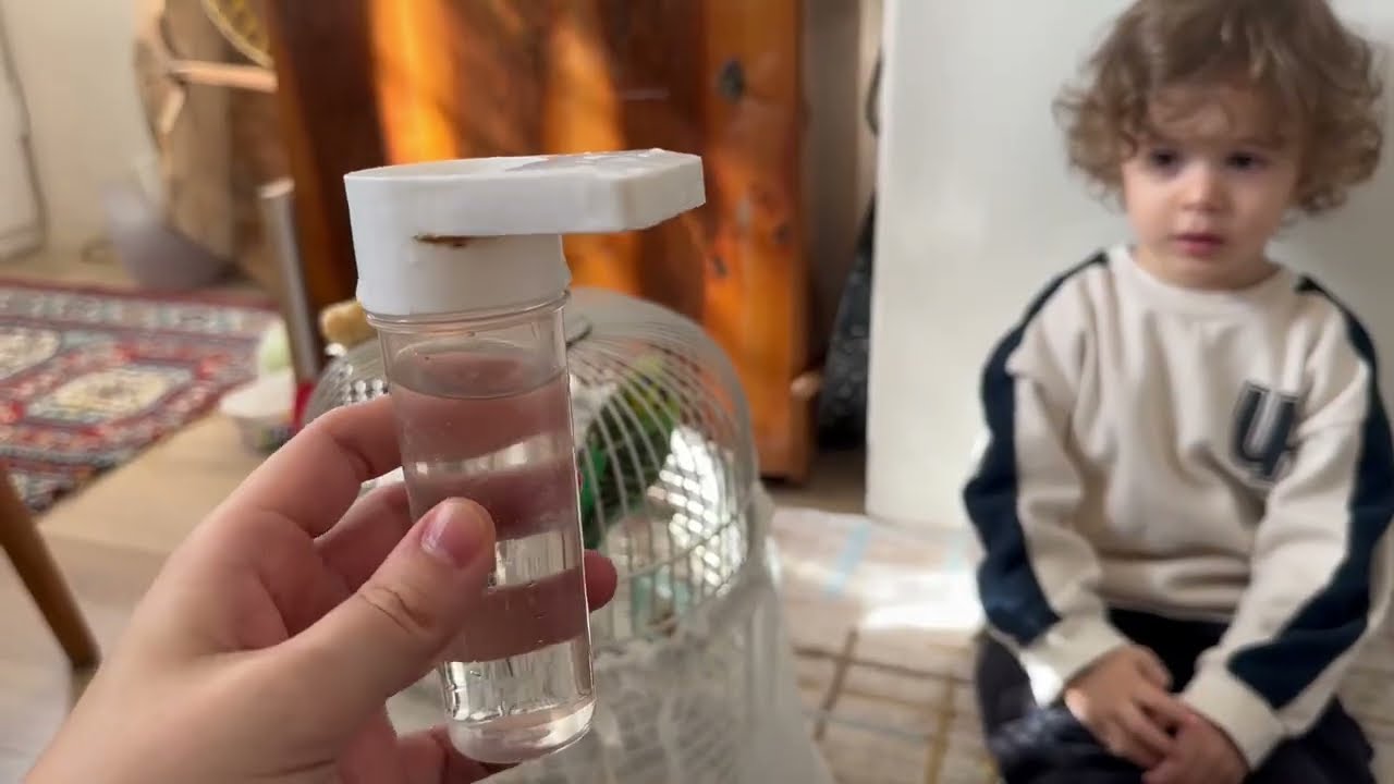 Yavuz Emre babaannesinin muhabbet kuşunu seviyor