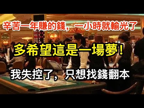 我在澳門賭場的故事（二十五）我似乎發現了澳門賭場贏錢的真理！真後悔沒有早點來澳門！賭的時間越長似乎智力水平就越下降，賭到後來連思維能力都衰弱了