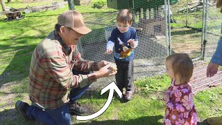 They Loved  the Baby Chickens