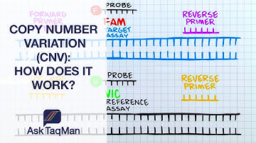 Copy Number Variation – How Does It Work? - Ask TaqMan #34