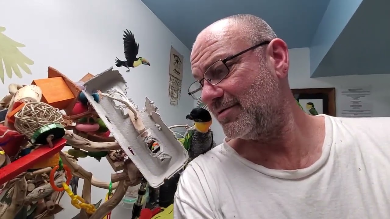 Эдди и Рики играют вне клетки ❤️